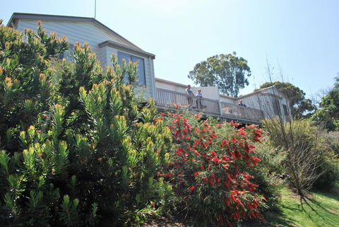 Lookout Holiday Units - Sunshine Coast Guide 1