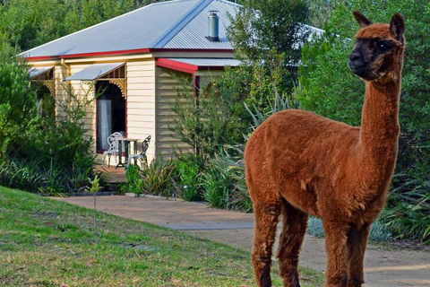 Araluen Park Cottages - Sunshine Coast Guide 6