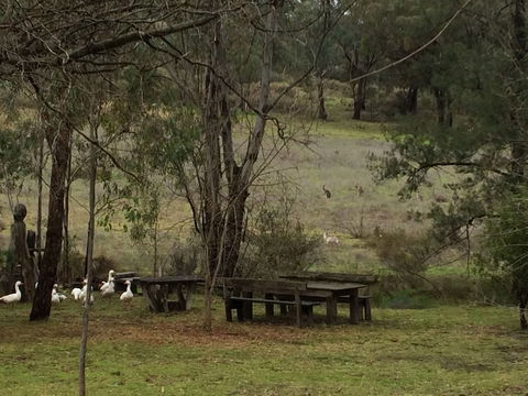 Wildwood Guesthouse - Sunshine Coast Guide 1