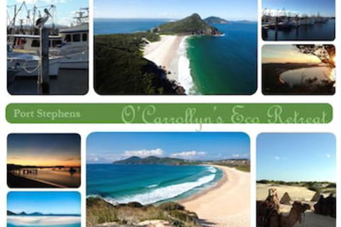 The Oasis At One Mile Beach - Sunshine Coast Guide 5