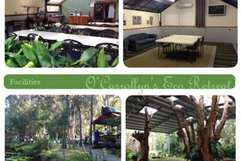 The Oasis At One Mile Beach - Sunshine Coast Guide 1