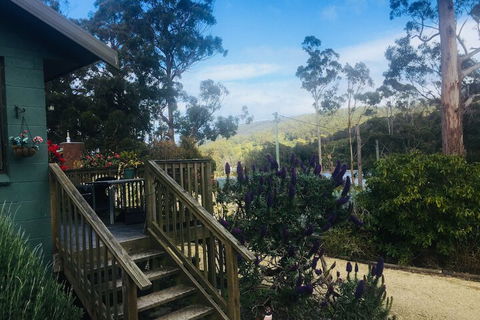 Classic Cottages Port Arthur - Sunshine Coast Guide 2