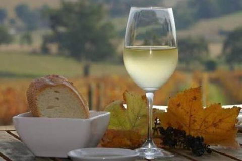 Outlook Hill Pavilion Suites & Spa Cottages - Sunshine Coast Guide 2