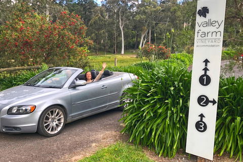 Valley Farm Vineyard Cottages - Sunshine Coast Guide 0