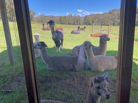Valley Farm Vineyard Cottages - Sunshine Coast Guide 2