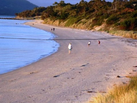 The Tree House - Sunshine Coast Guide 5