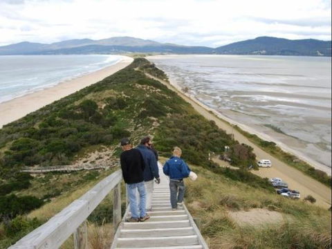 The Tree House - Sunshine Coast Guide 6