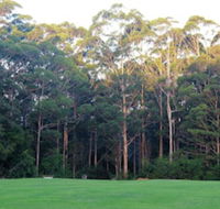 Tinglewood Cabins - Sunshine Coast Guide