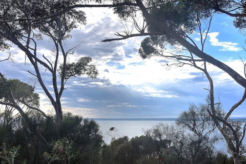 Wanderers Rest Of Kangaroo Island - Sunshine Coast Guide 7