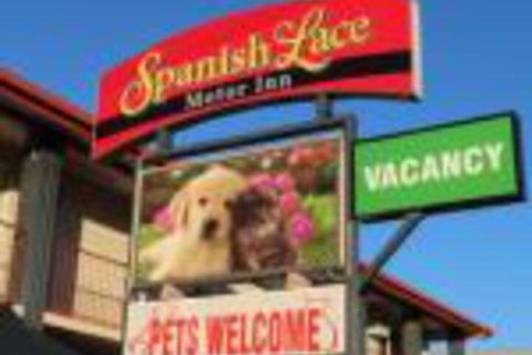 Spanish Lace Motor Inn - Sunshine Coast Guide 0