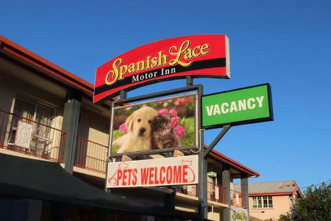 Spanish Lace Motor Inn - Sunshine Coast Guide 3