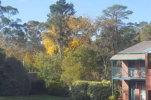 Hepburn Springs Motor Inn - Sunshine Coast Guide 5
