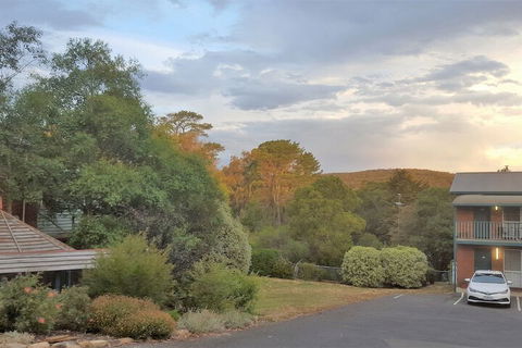 Hepburn Springs Motor Inn - Sunshine Coast Guide 4