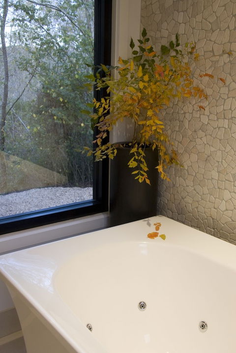 Saltus Luxury Accommodation - Sunshine Coast Guide 6