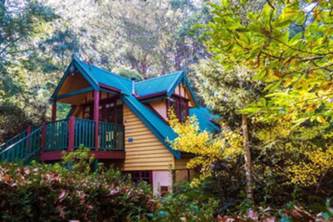 Arnica Views - Sunshine Coast Guide 0
