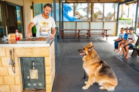 Discovery Parks â€“ Bunbury Village - Sunshine Coast Guide 2