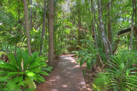 Montville Grove - Sunshine Coast Guide 0