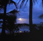 Sejala Beach Huts - Sunshine Coast Guide