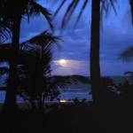 Sejala Beach Huts - Sunshine Coast Guide 0