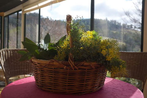 Hamlet Downs Country Accommodation - Sunshine Coast Guide 4