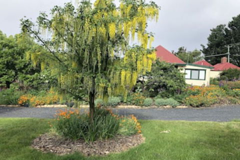 Hamlet Downs Country Accommodation - Sunshine Coast Guide 0