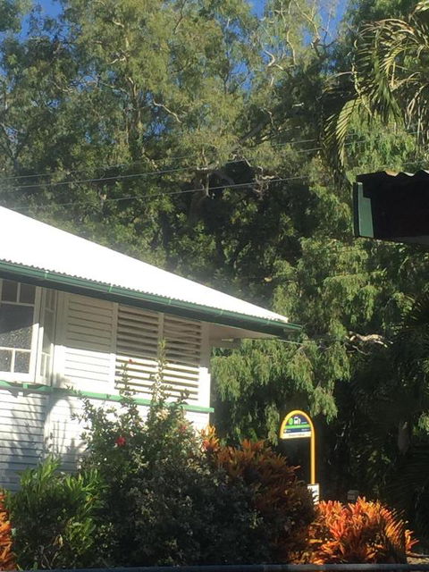 Daggoombah Holiday Home Magnetic Island - Sunshine Coast Guide 6