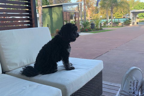 Mulwala Resort - Sunshine Coast Guide 5