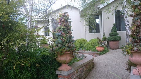 Topiary Haven - Sunshine Coast Guide 0