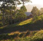 Bundle Hill Cottages - Sunshine Coast Guide