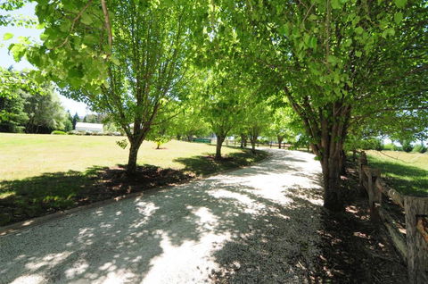 Daisy Cottage - Sunshine Coast Guide 7