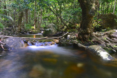Daintree Cascades - Sunshine Coast Guide 6