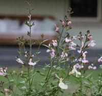 Serendipity on Allyn - Sunshine Coast Guide