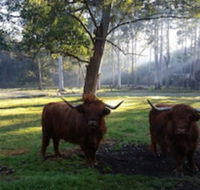Dingley Dell - Sunshine Coast Guide