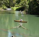 Figtree Getaway - Sunshine Coast Guide
