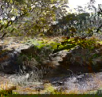 Green Gully House - Sunshine Coast Guide