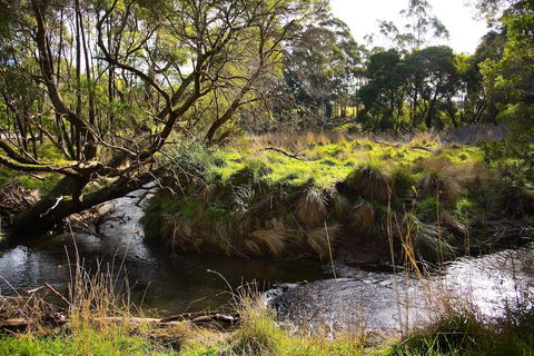 Green Gully House - Sunshine Coast Guide 0