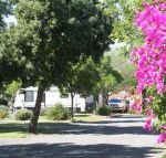 BIG 4 Hay - Sunshine Coast Guide