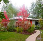 Dalrymples Guest Cottages - Sunshine Coast Guide