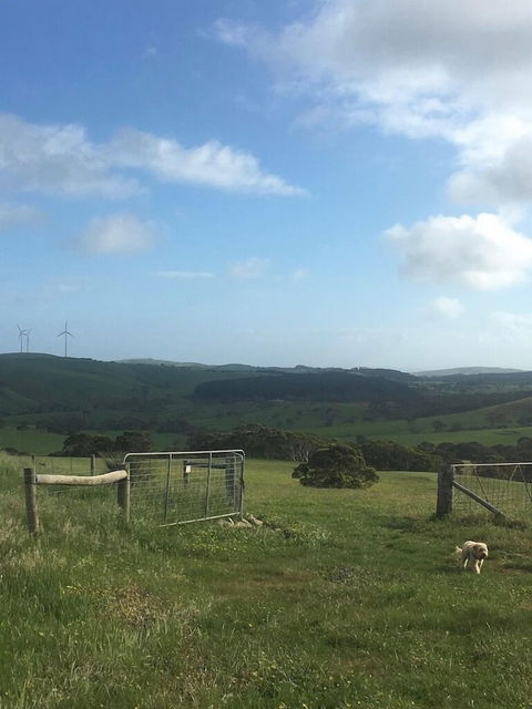 Morella Farm Stay - Sunshine Coast Guide 2