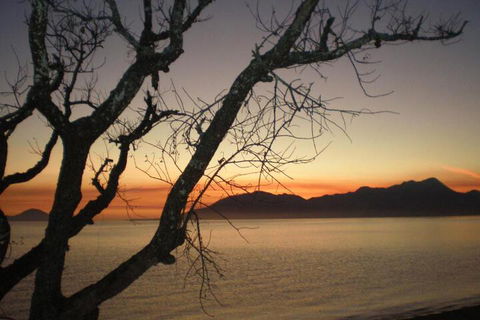 Daintree Village Hideaway - Sunshine Coast Guide 3