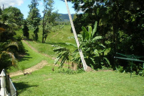 Daintree Village Hideaway - Sunshine Coast Guide 5
