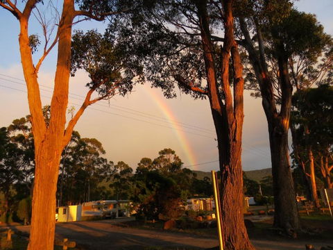 Captain Cook Holiday Park - Sunshine Coast Guide 5