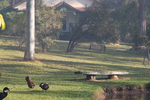 Telegraph Retreat Cottages - Sunshine Coast Guide 6