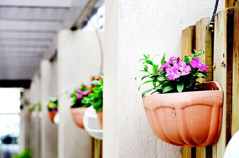 Spring Hill Mews Apartments - Sunshine Coast Guide 2