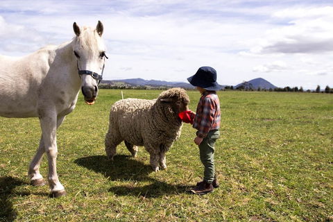 Taras Richmond Farmstay - Sunshine Coast Guide 0