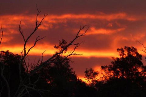 Launceston Bed & Breakfast Retreat - Sunshine Coast Guide 7