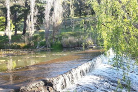 Avocados Accommodation - Sunshine Coast Guide 0