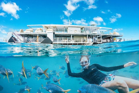 Reefsleep - Sunshine Coast Guide 2