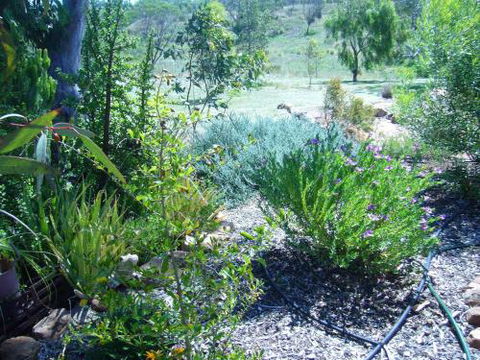 Old Miners Cottages Bed & Breakfast - Sunshine Coast Guide 3