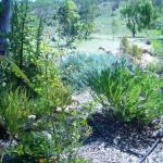 Yallabatharra WA Sunshine Coast Guide